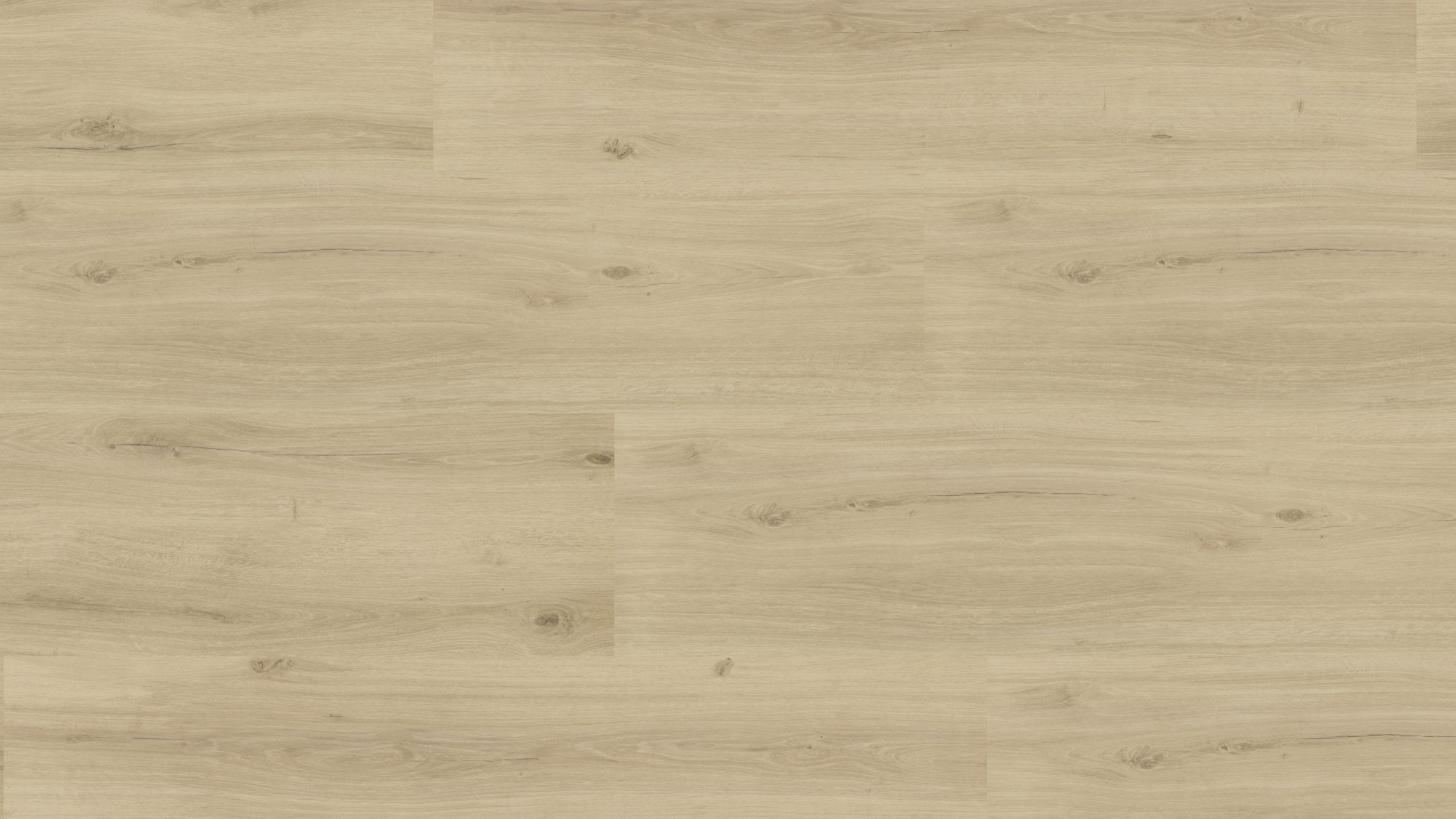 naturBoden printCork Eiche Natur Royal