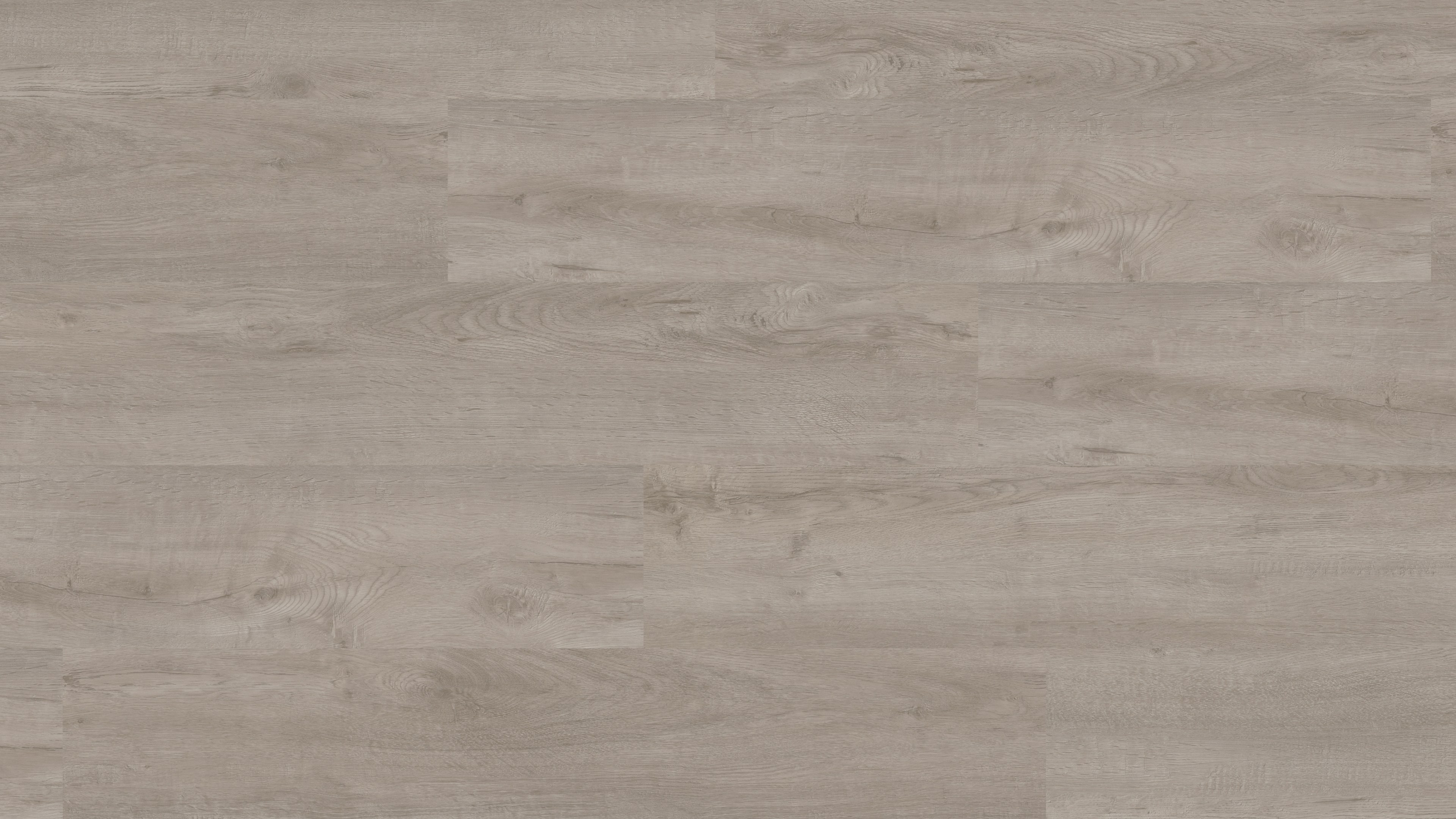 vinylFloor elTorro premiumHDF Cordobaeiche grau