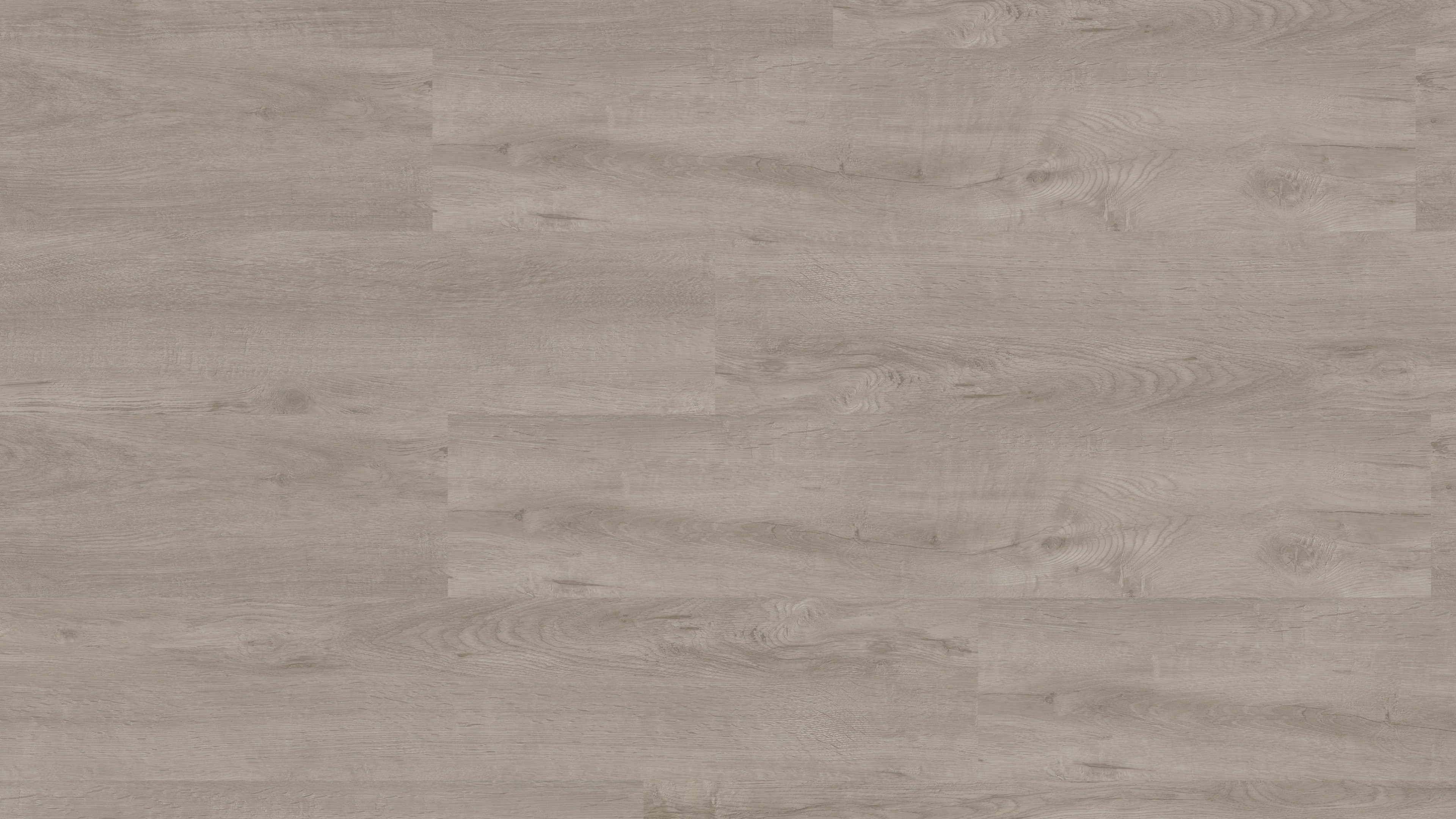 vinylFloor elTorro Cordobaeiche grau