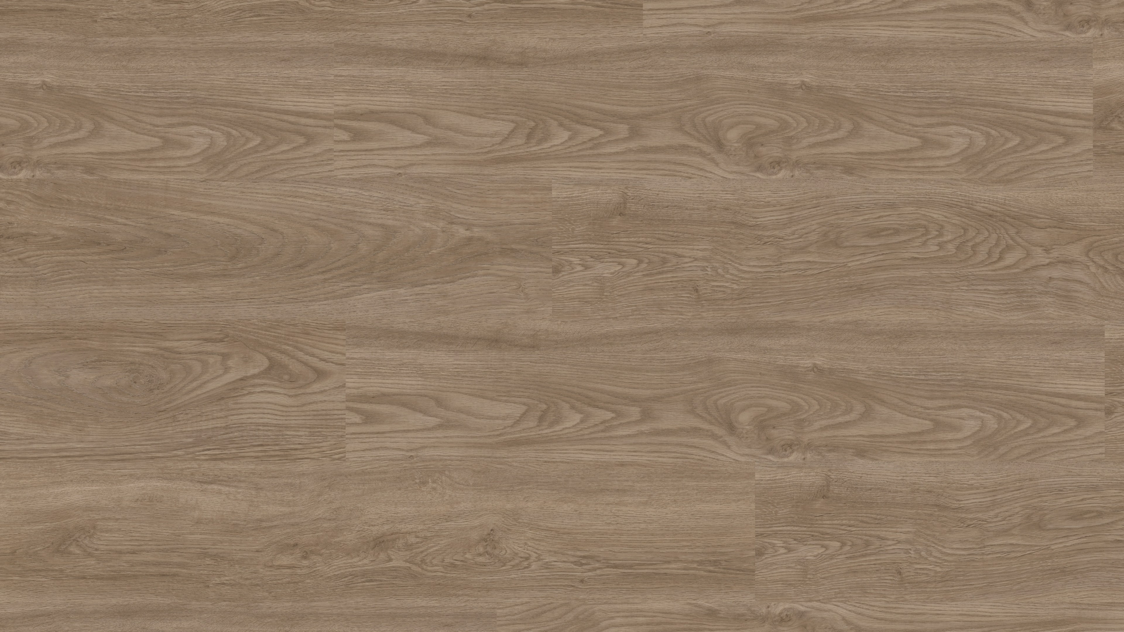 vinylFloor elTorro Terraeiche
