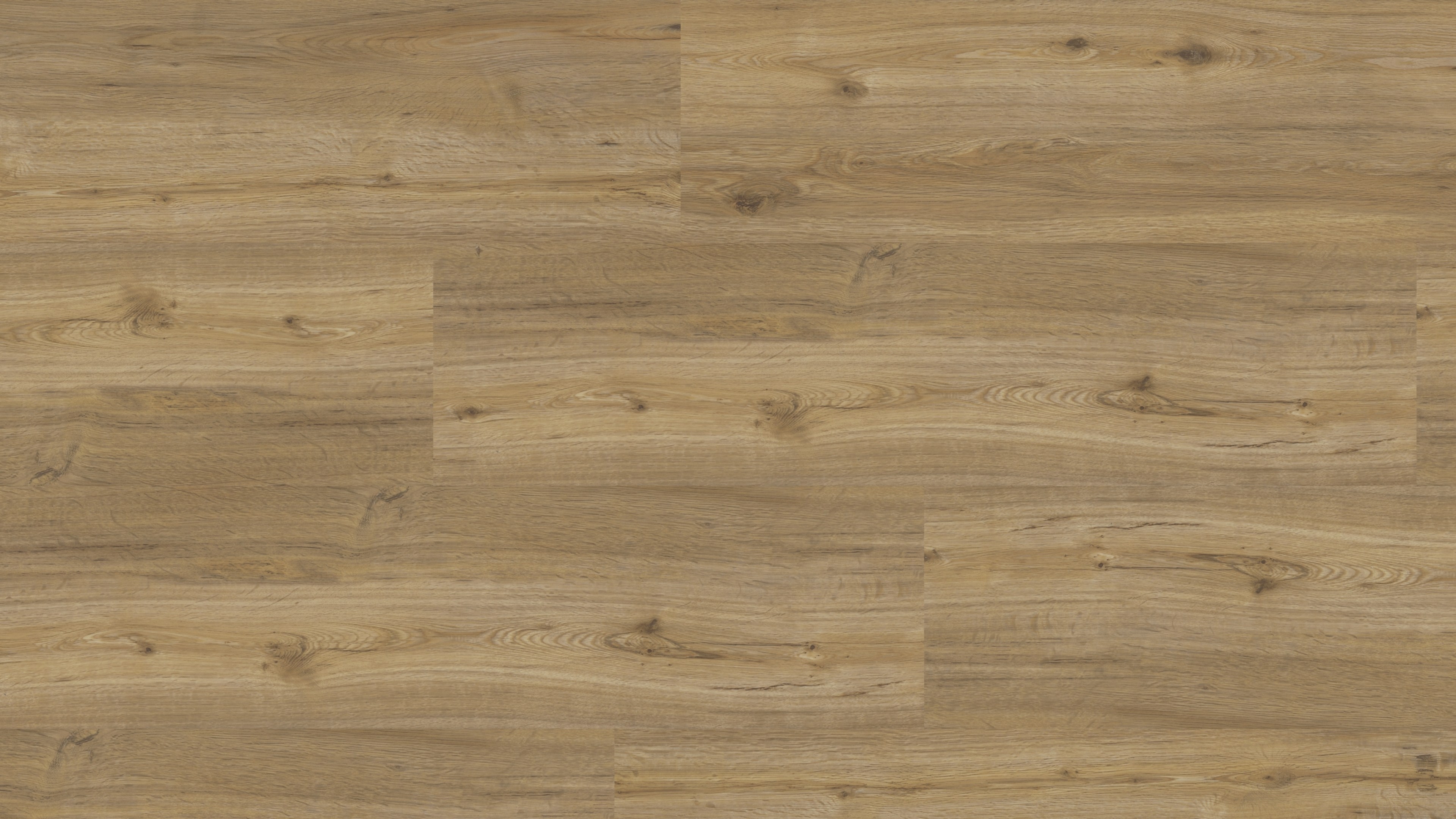 vinylFloor elTorro Walderle