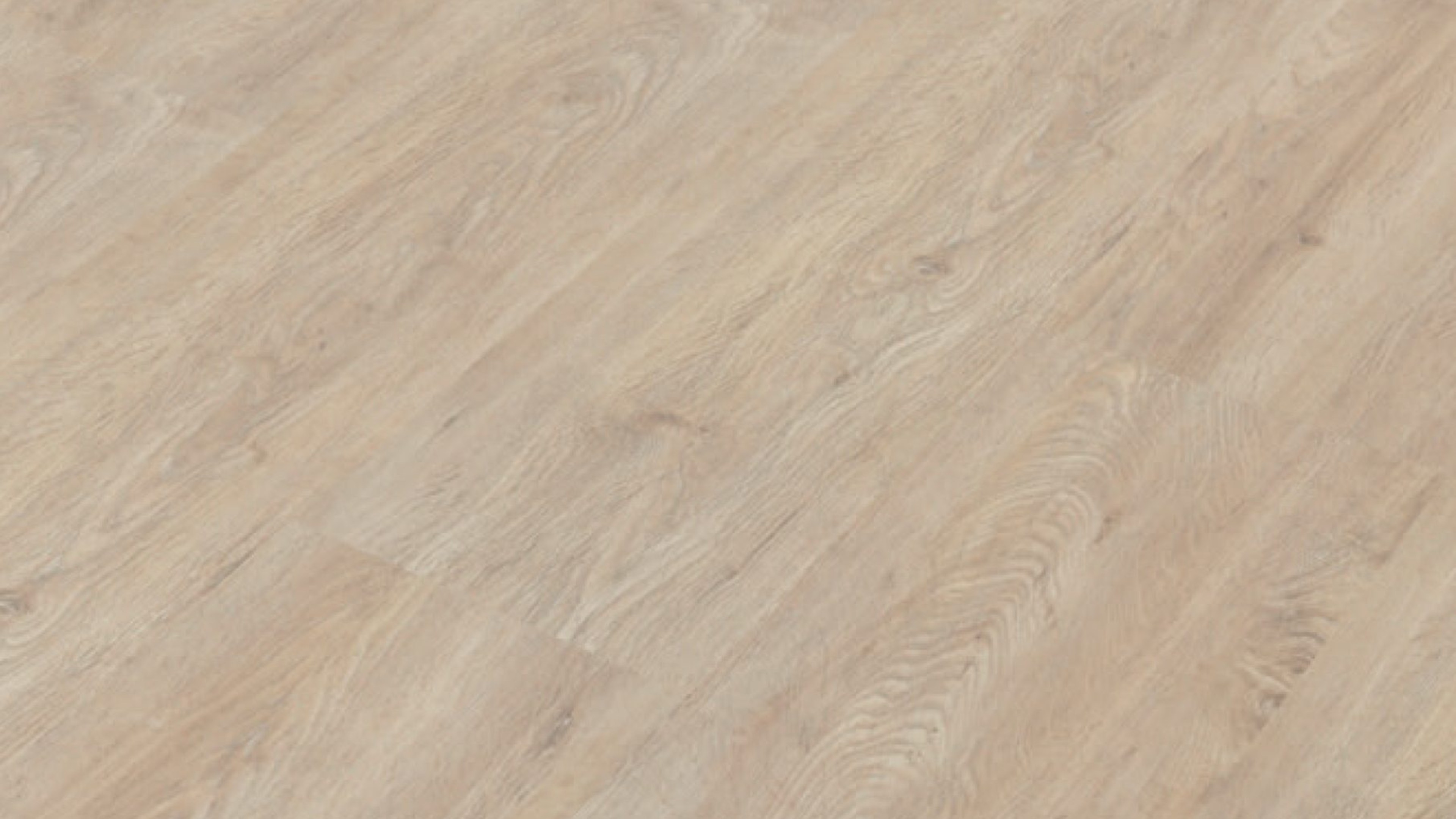vinylFloor samurai Koenigseiche gekalkt