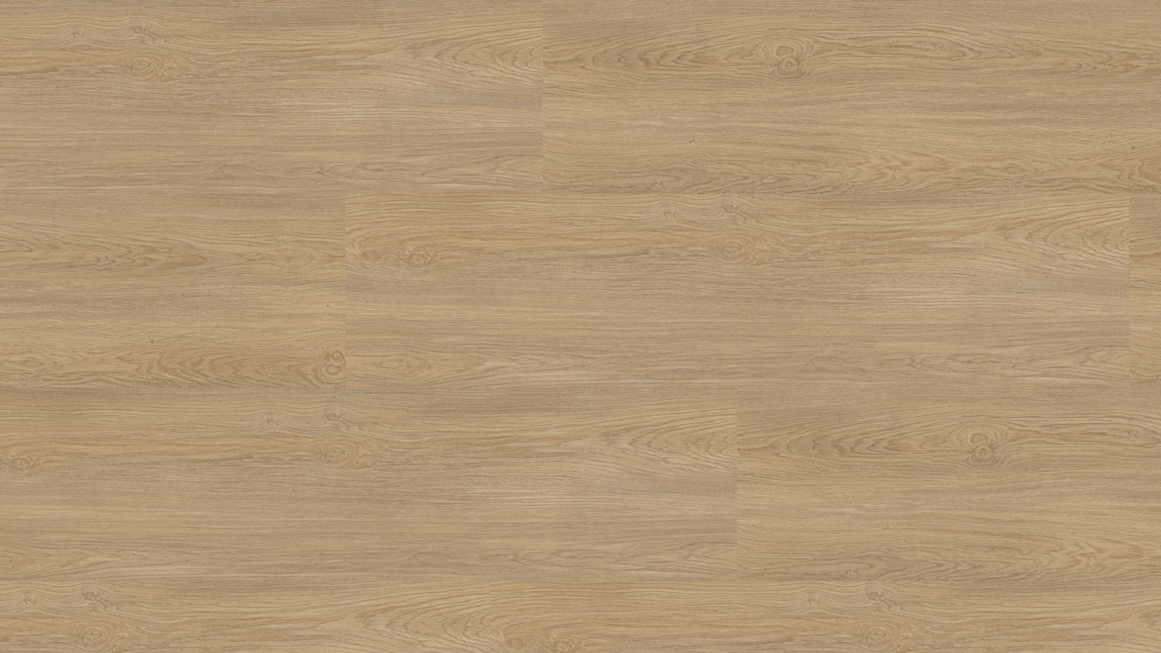 vinylFloor eco Norddeutsche Eiche