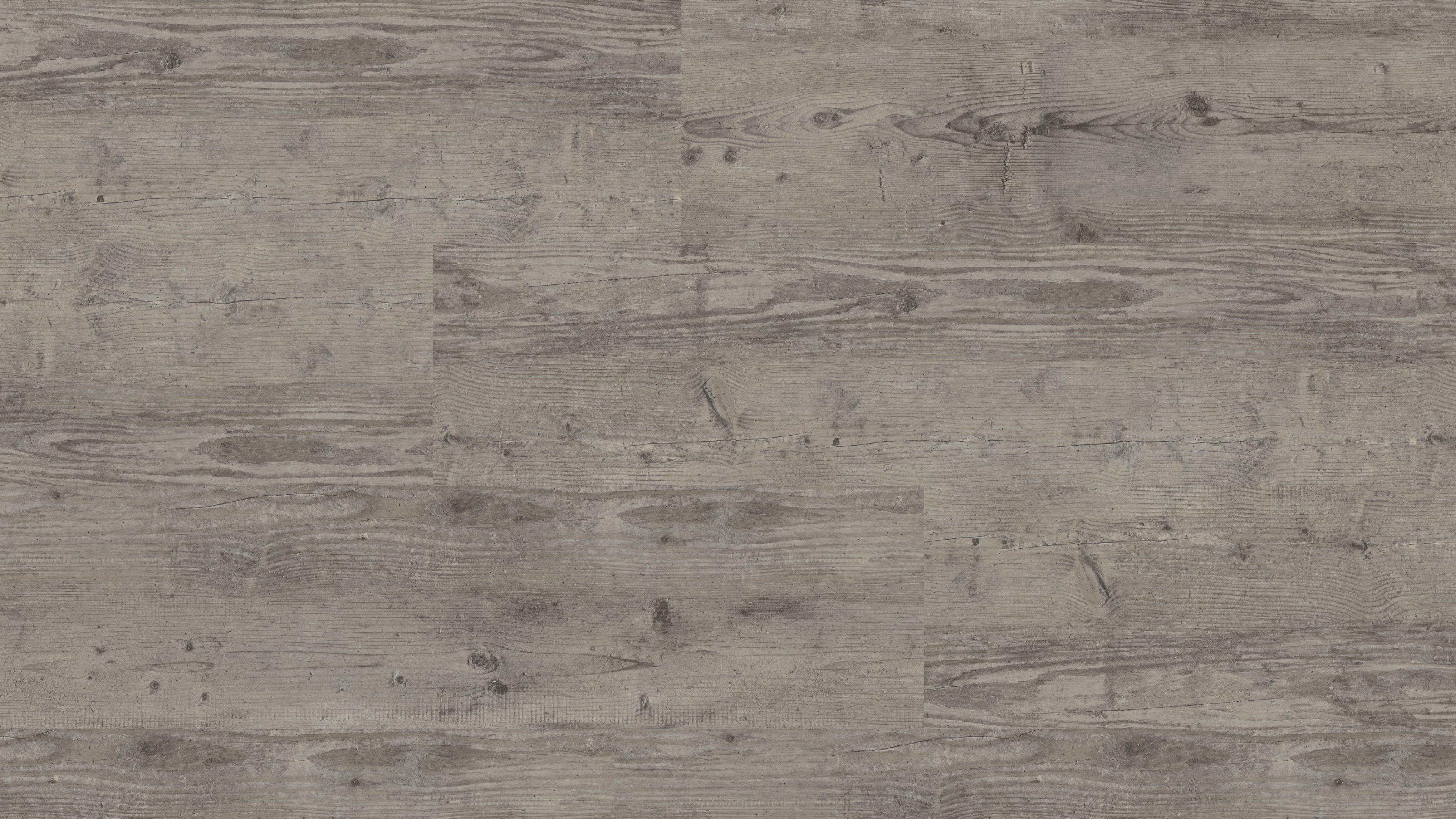 vinylFloor eco Plus Birke grau