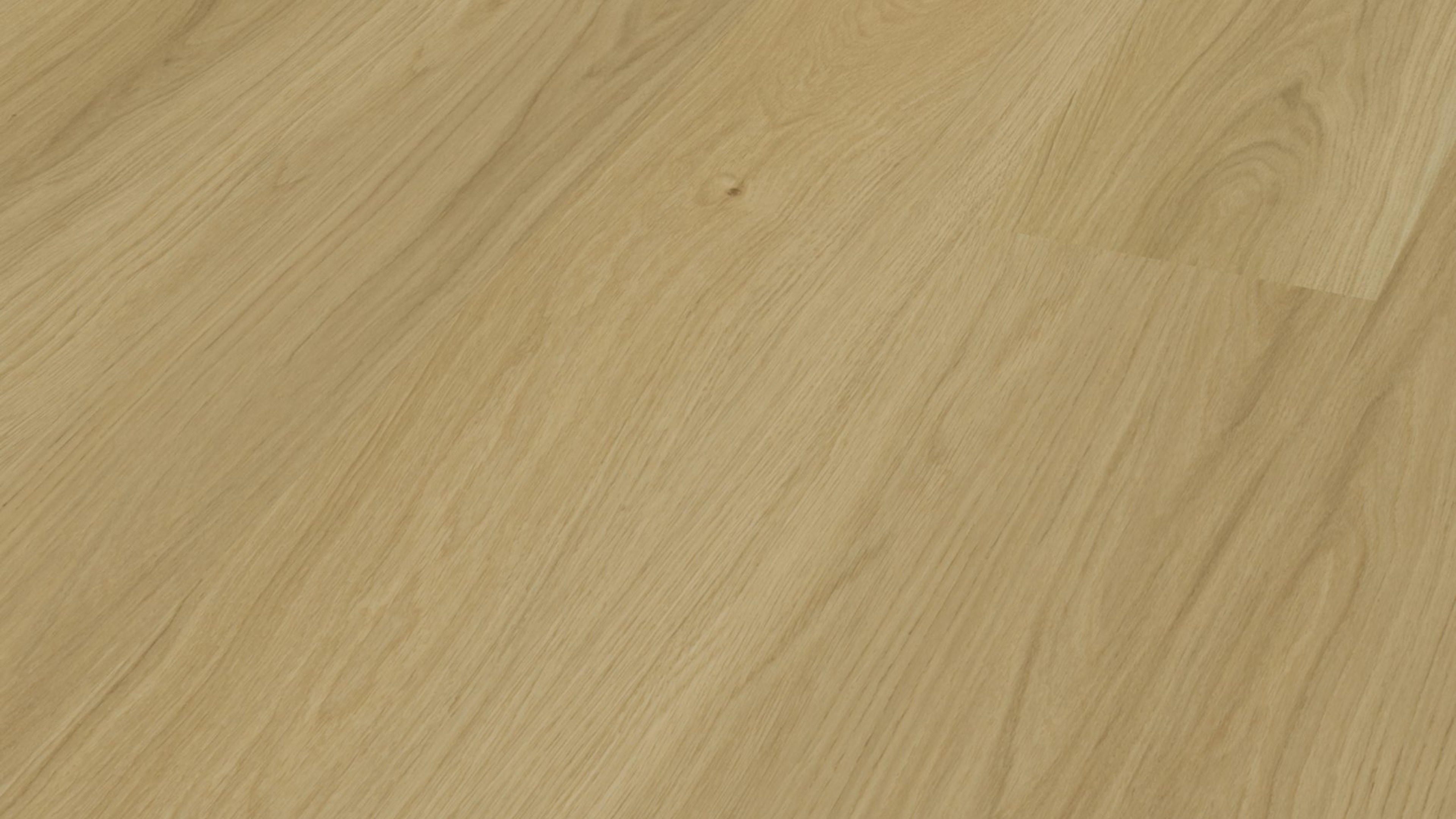 vinylFloor objektMaximoPlus Goldeiche