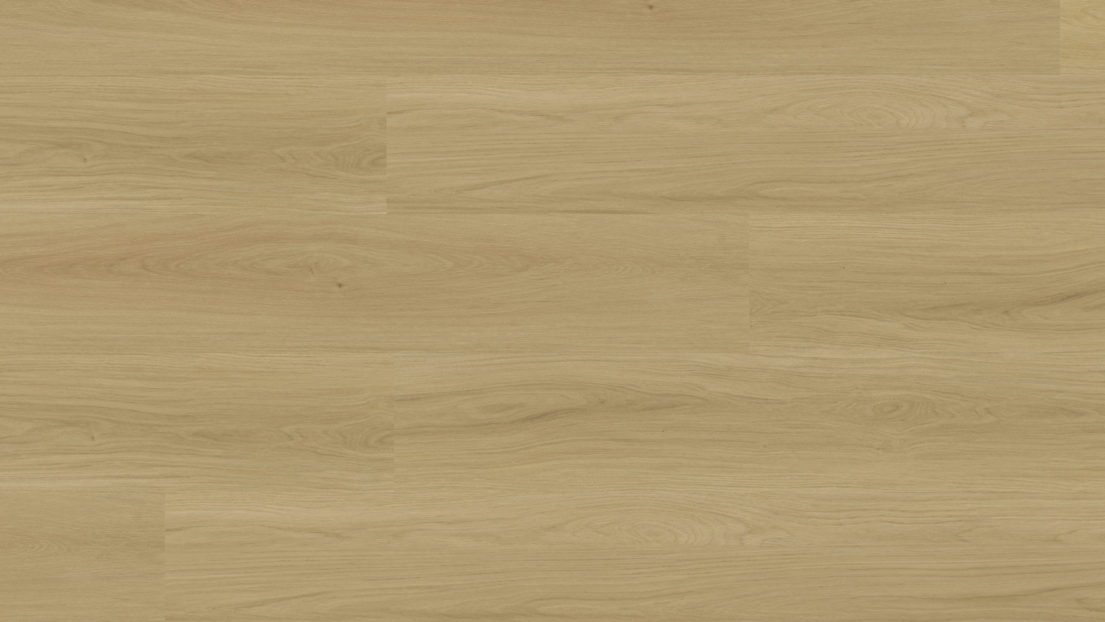 vinylFloor objektMaximoPlus Goldeiche