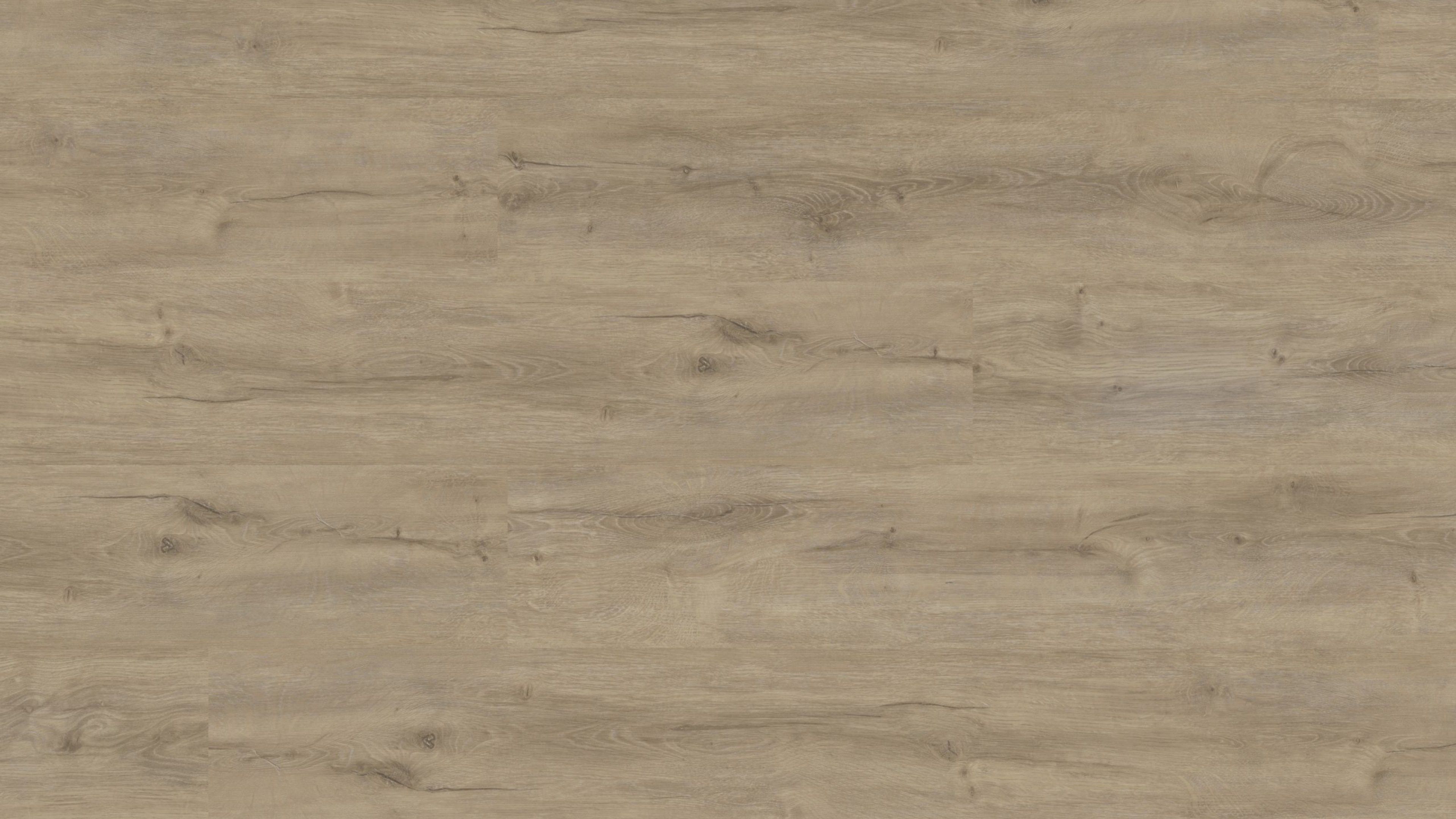 vinylFloor objektMaximoPlus Koenigseiche
