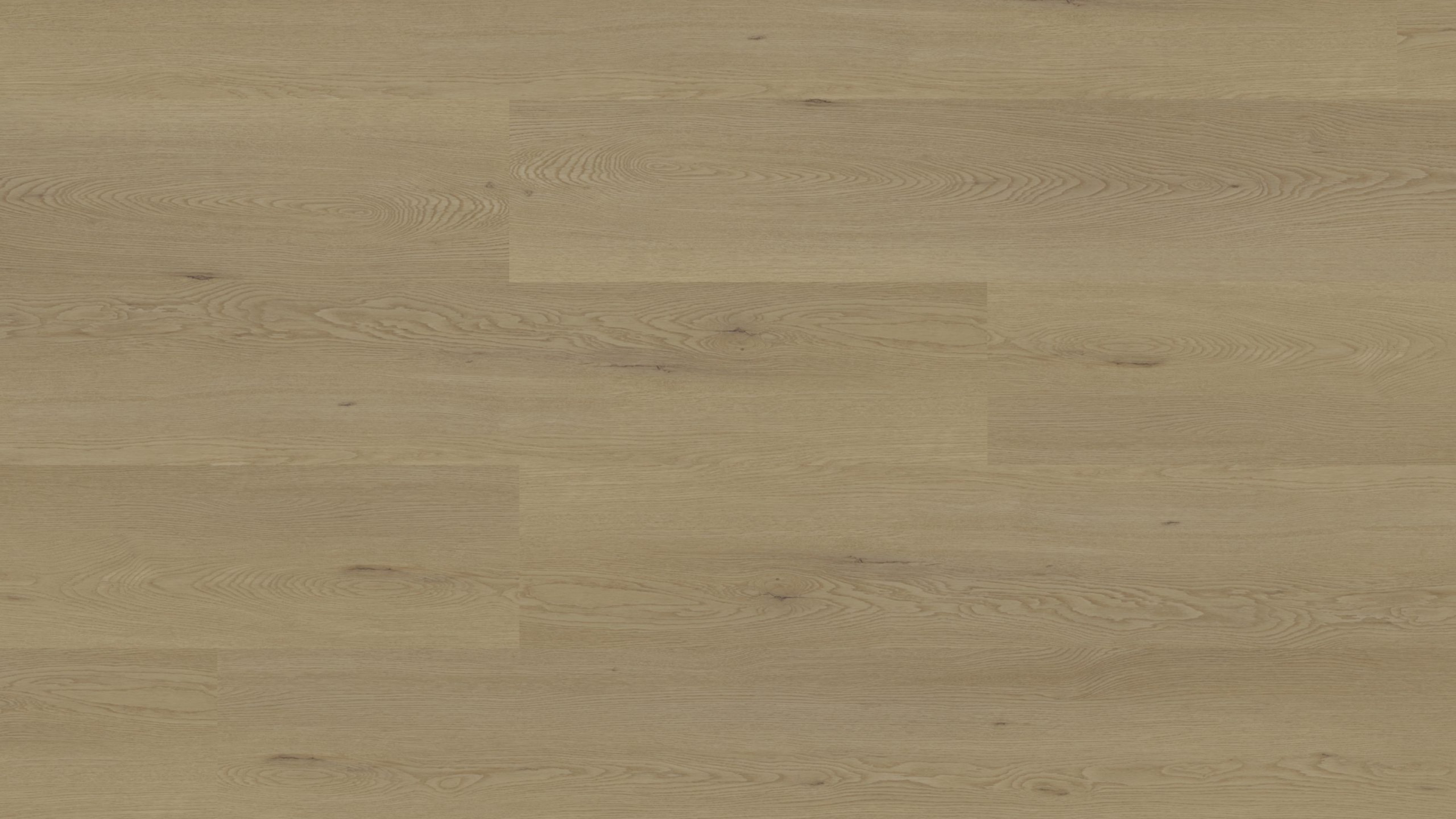 vinylFloor objektMaximoPlus Sommereiche